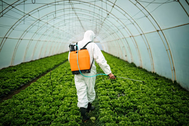 Best Best Pest Control Companies  in Drexel, NC