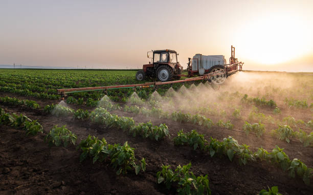 Reliable Drexel, NC Pest Control Solutions