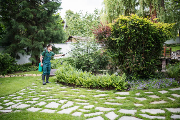 Best Pest Removal Services  in Drexel, NC