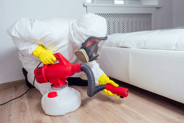 Best Mosquito Control Services  in Drexel, NC
