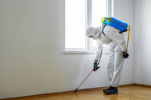 Best Mosquito Control Services  in Drexel, NC