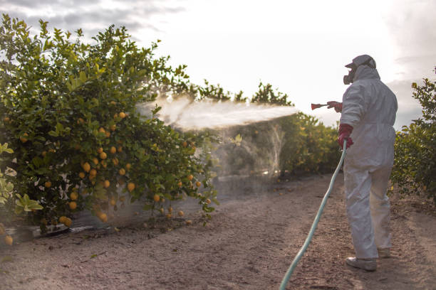 Best Pest Prevention Services  in Drexel, NC
