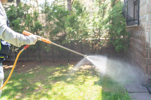 Wasp Removal Services in Drexel, NC