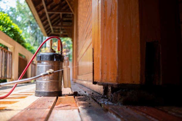 Best Best Pest Control Companies  in Drexel, NC