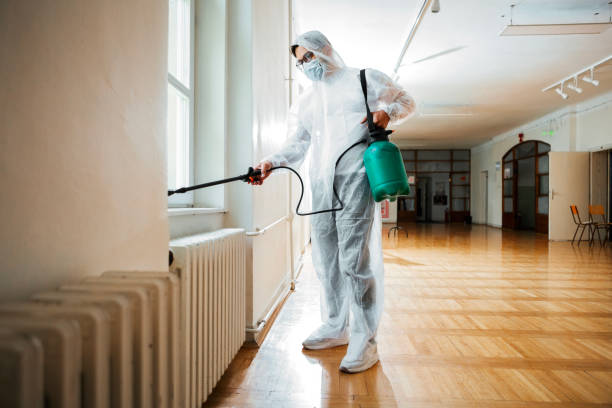 Best Ant Control Services  in Drexel, NC