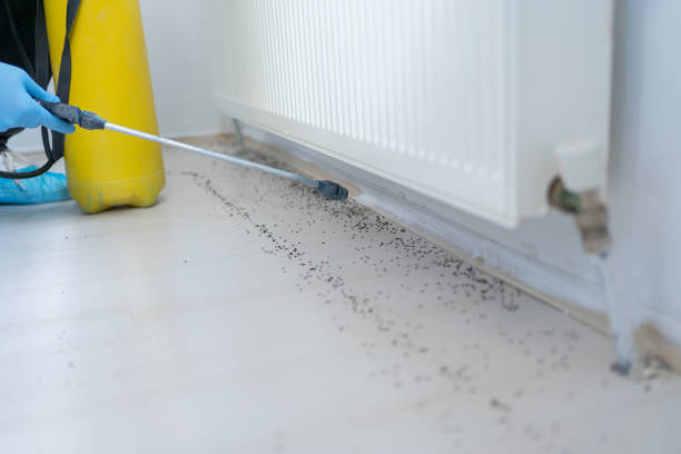 Best Pest Control Treatment  in Drexel, NC